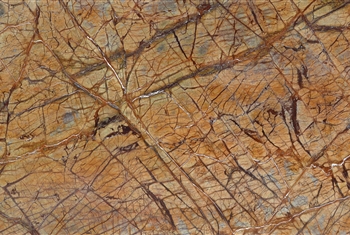 Rainforest Brown Marble Exporter in india