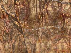 Read more about the article Rainforest Brown Marble – The Perfect Choice for Home and Office Interiors from Madhusudan Marbles in India